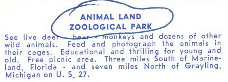 Animal Land - Vintage Postcard (newer photo)